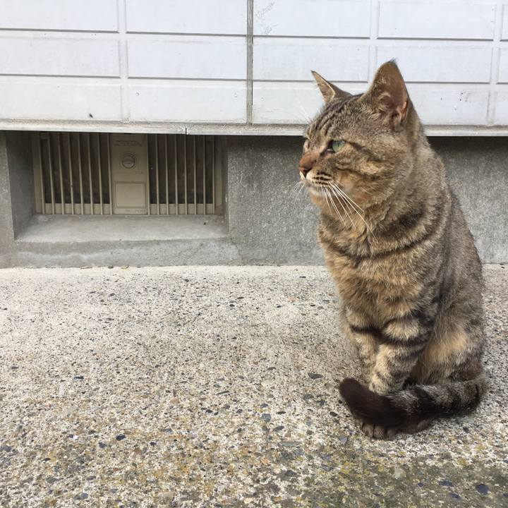 621849f4 8456 4b17 a6fc c19b74f3a899 1535678409486