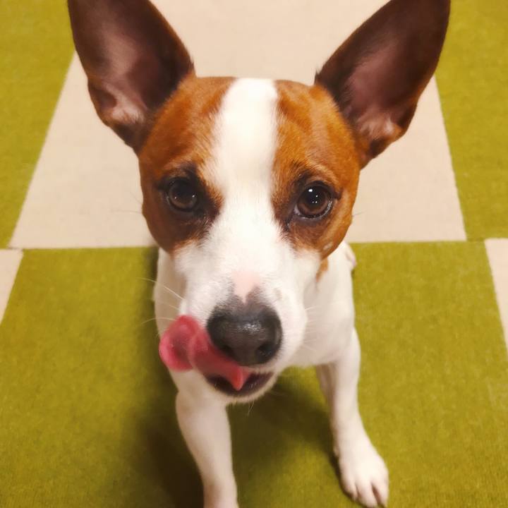 62186e84 bb98 4561 a3ef b42807059289 1516550336516