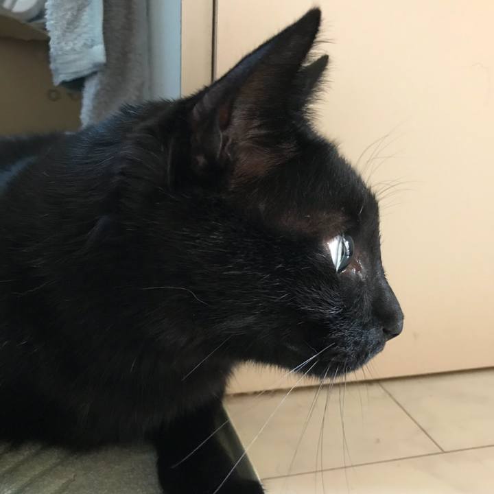 6218d4b1 8ceb 4f86 8da5 2615dfef2f24 1531273530233