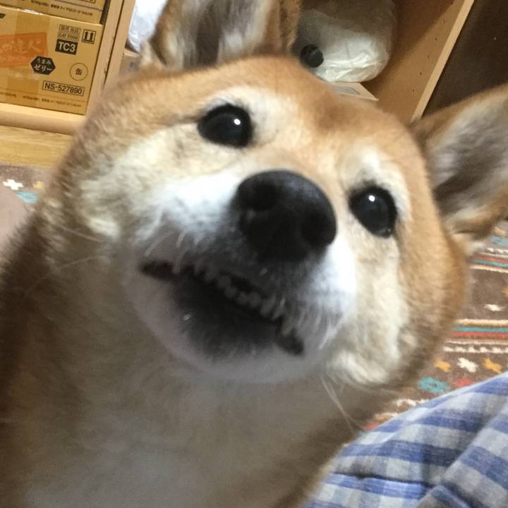 6218f0e5 6025 4854 8f96 31a4527d3613 1547802641782