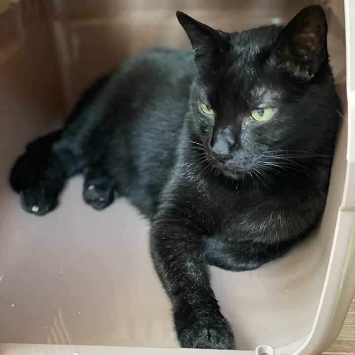 6218f415 9adc 4d24 a0d4 3499fad5f481 1625191703329