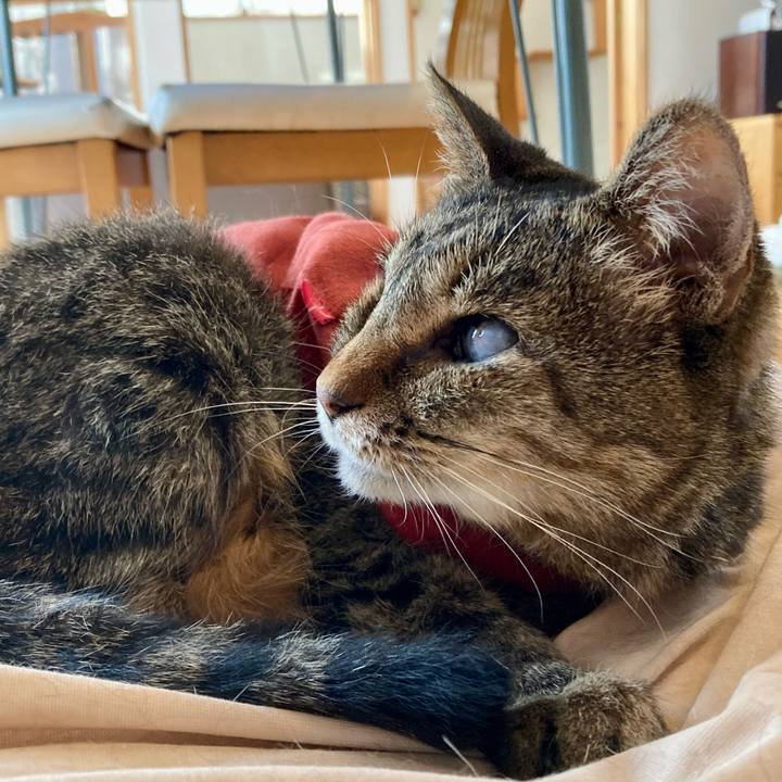 62195aae 127d 4dbd a9a6 11ec49f65da3 1681977782128