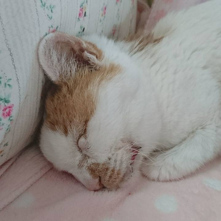 621983a5 599a 4636 8f5a 227111f5fa17 1623911760751