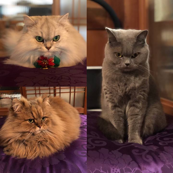 621a2baa a6f2 42da 8c65 a2033fa48384 1577401885474