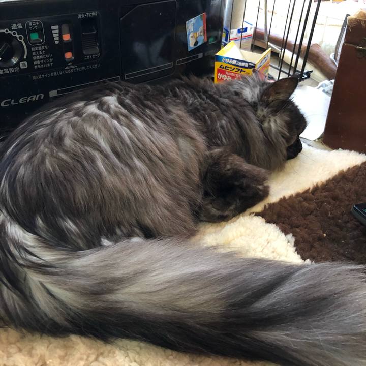 621a4f88 ffbb 4f5e 8650 749e1b093f60 1554017445278