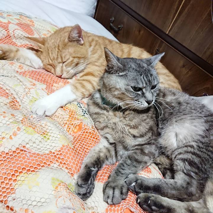 621aab75 8e74 4809 82c5 e4afabfd8c47 1568293264742