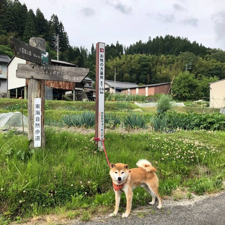 621b0629 7b7f 4f9a af5c 393b441f63dd 1559639783897