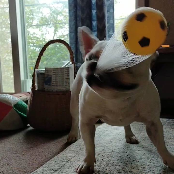 621b1171 48e3 44b8 a9de a016875928ee 1662073705377