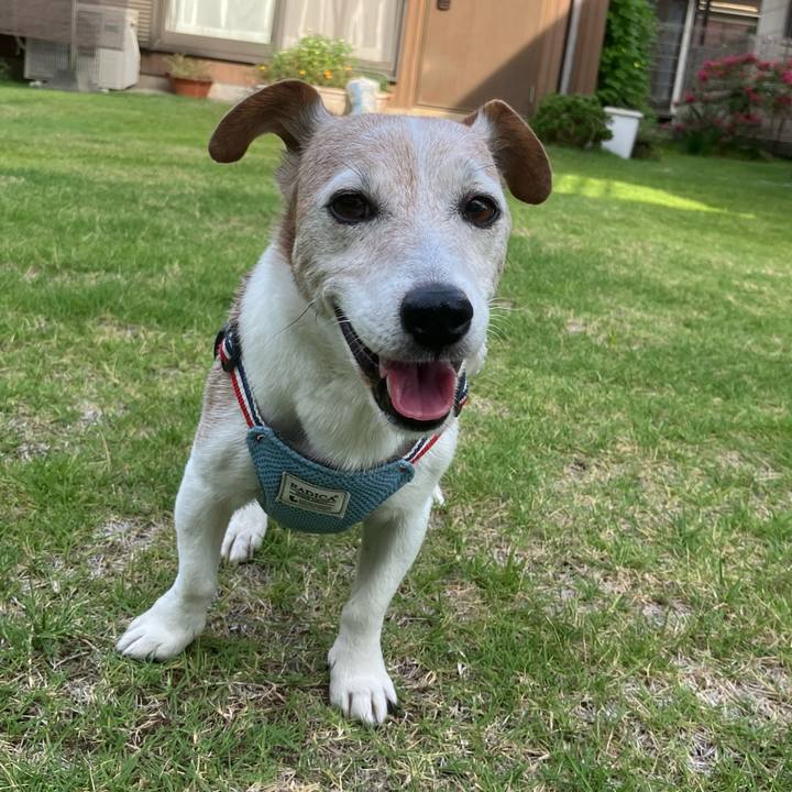 621b251e 7136 4ebf 846d 087cd3fcbfec 1756772809750