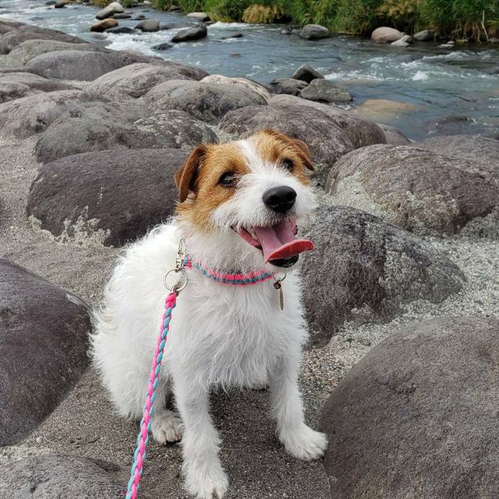 621b28ab 444f 49ec b721 35b732d14acd 1559626324778