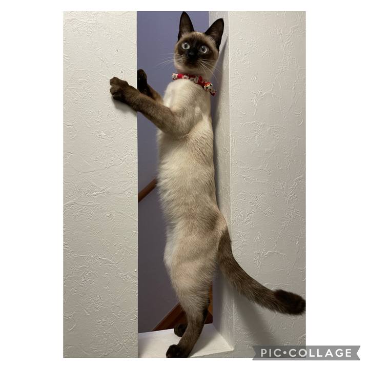 621b92d5 dfbc 41c7 a43e 6c91559c7aec 1704741878756