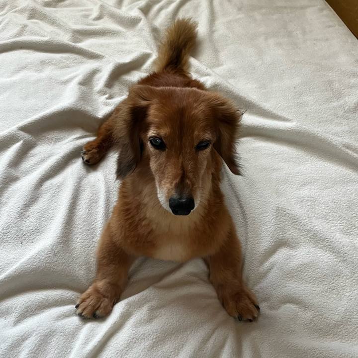 621b95b8 94ec 4eff 8f8b 78146174955a 1661254385739