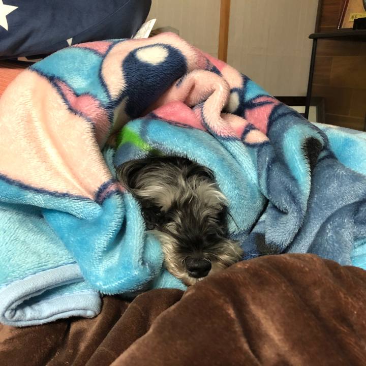 621bce00 59bf 487b 8eaa 9f6fe4886091 1636380588531