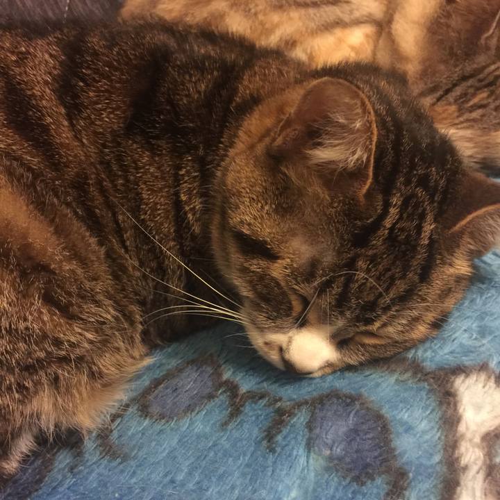 621bd946 d4ed 424d a778 b9fc5d72d7b0 1556452193251