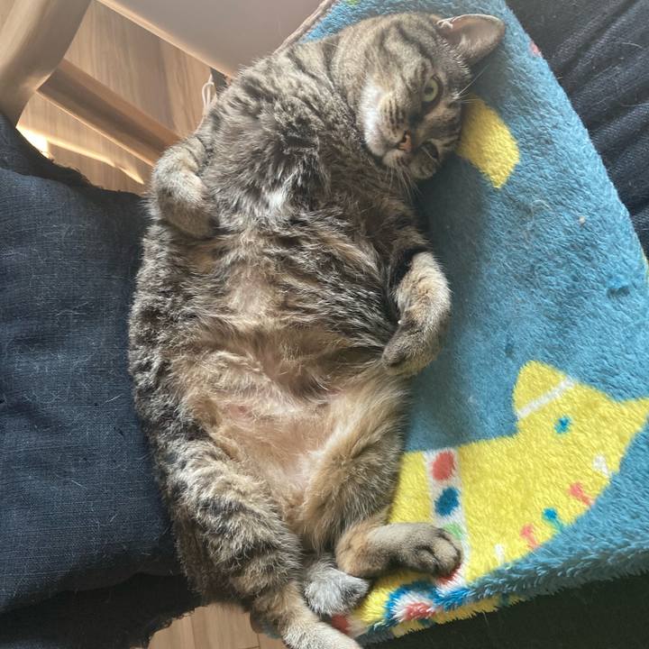 621bdccd 7e85 40b7 9581 3e6deacc46f9 1741483490937