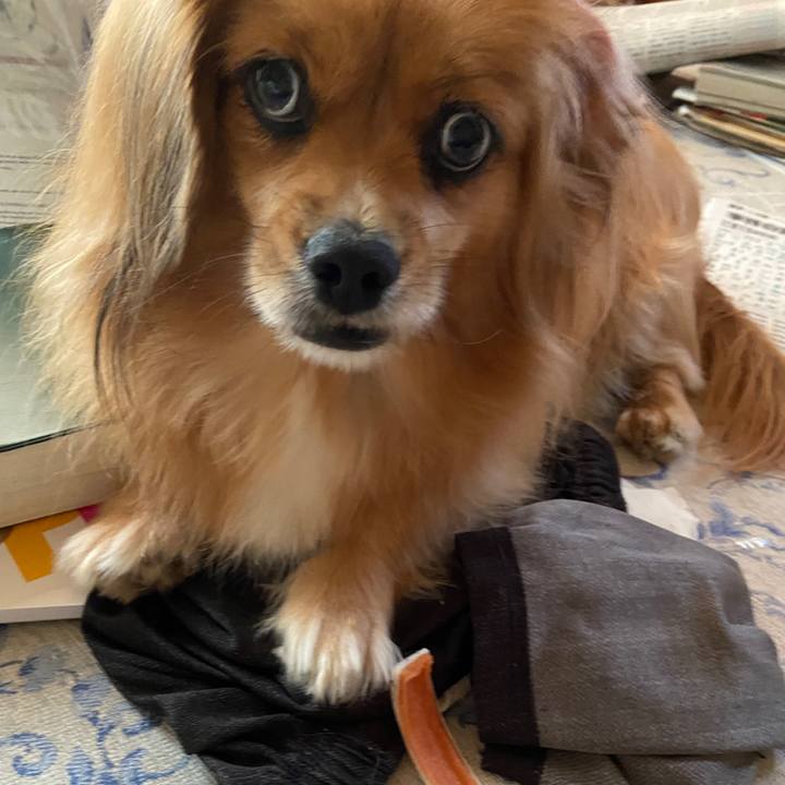 621bf8cb 5b82 45e2 baa4 763b11a5a3bb 1632520521056