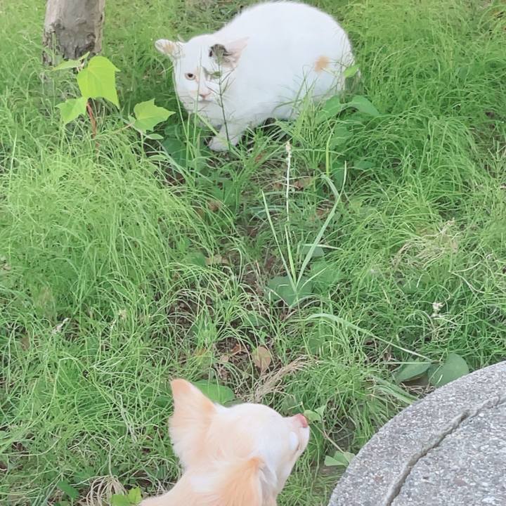 621c0203 3dee 4d64 91ee db3d10183238 1690028114337