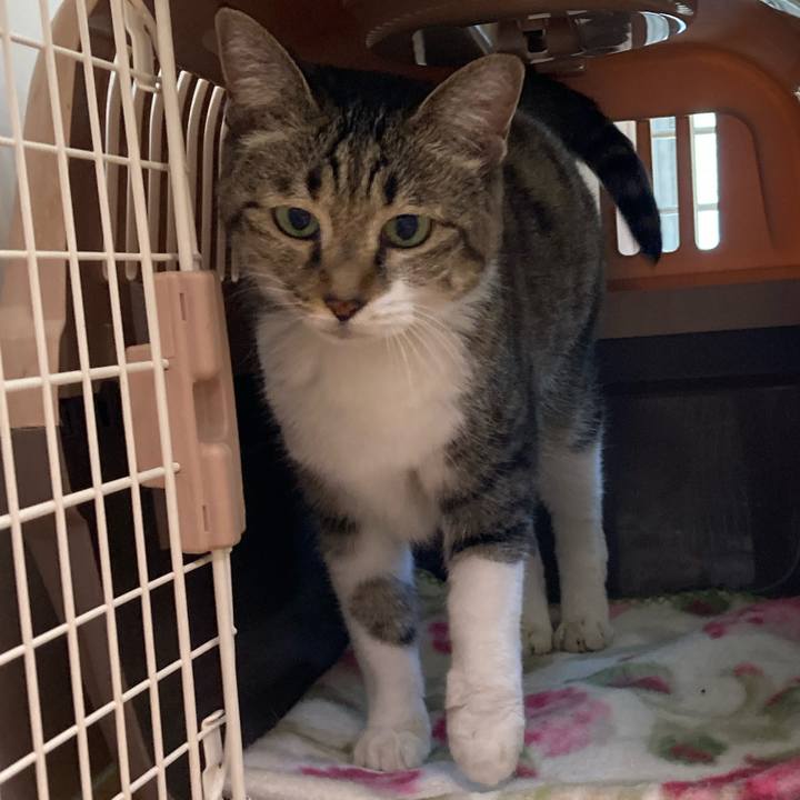 621c0402 16be 4929 8b2f 34086f0a8564 1662109142797