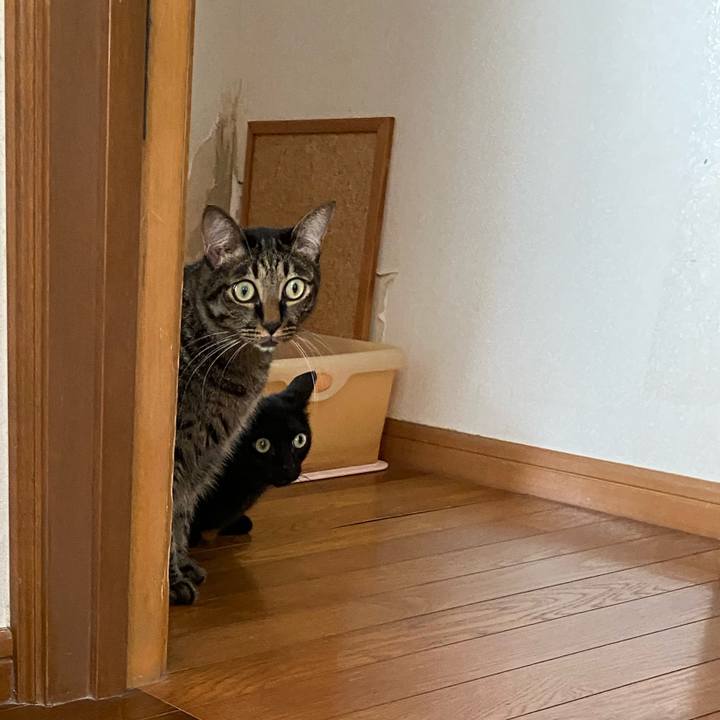 621c0b79 7c23 4110 8588 27436865e996 1694302048783