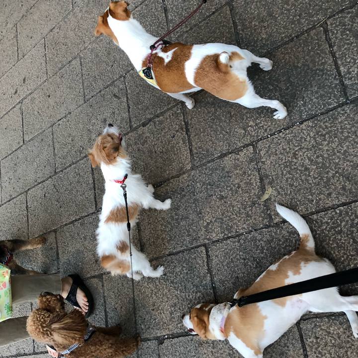 621c3f95 fe82 4c8a 83a8 cc00cb58fc01 1530019531053