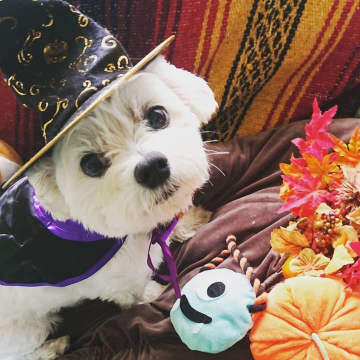 621ca46e 5628 416b 907e 5b6cac8c1a2f 1635649399056