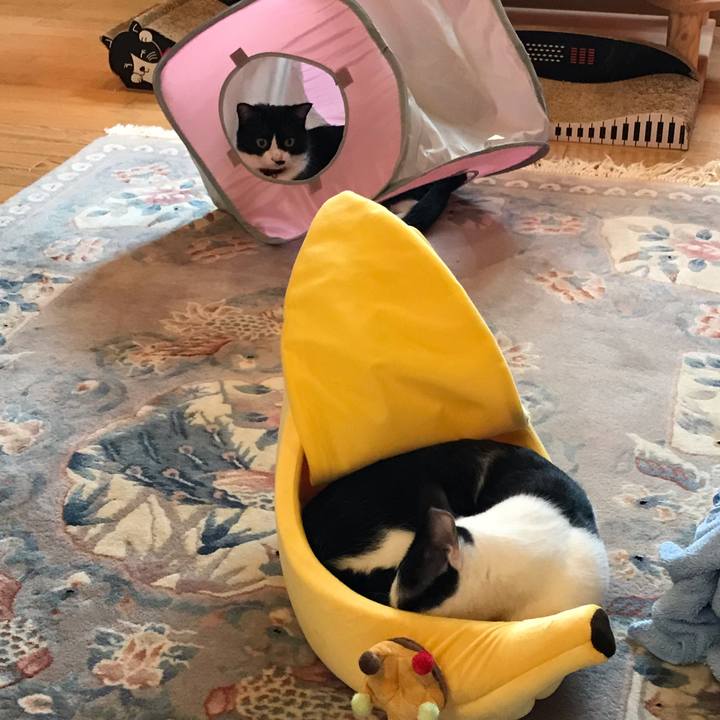 621cdc94 5517 416a 9c15 028ab2eb11fd 1563237773072