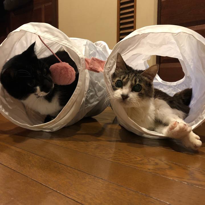 621cfe9d fe9e 47db 8028 758ba4992beb 1578667187160