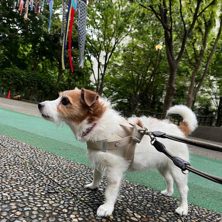 621d856b 2066 4c6d 85ad 99d3a73b8ee8 1730606280198