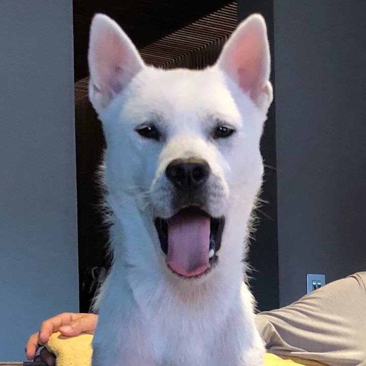 621d8ada f1c7 4408 95ff d1a9c359dd4d 1538440461932