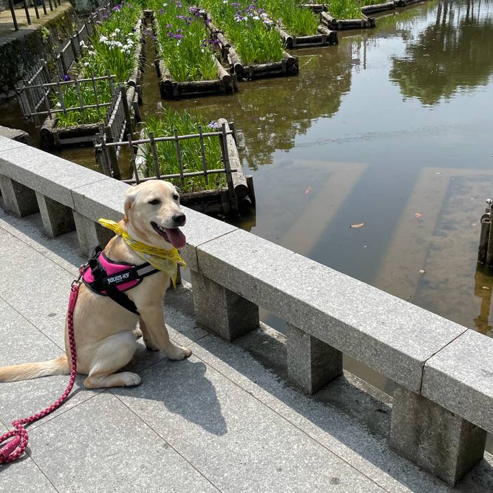 621d9ab8 cb41 491d ad39 de4e1d5699ab 1621929058278