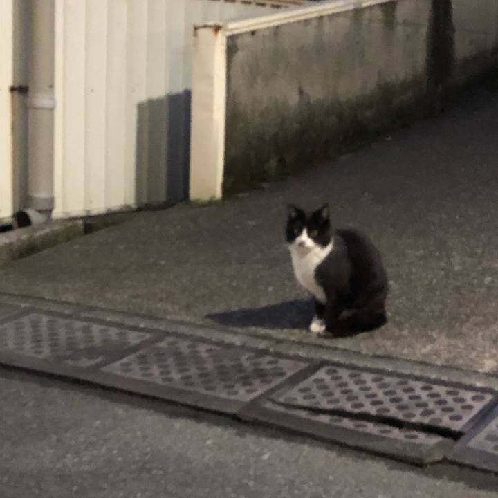 621d9d69 d85a 4483 b2e4 d96b8d3675f0 1551460744358