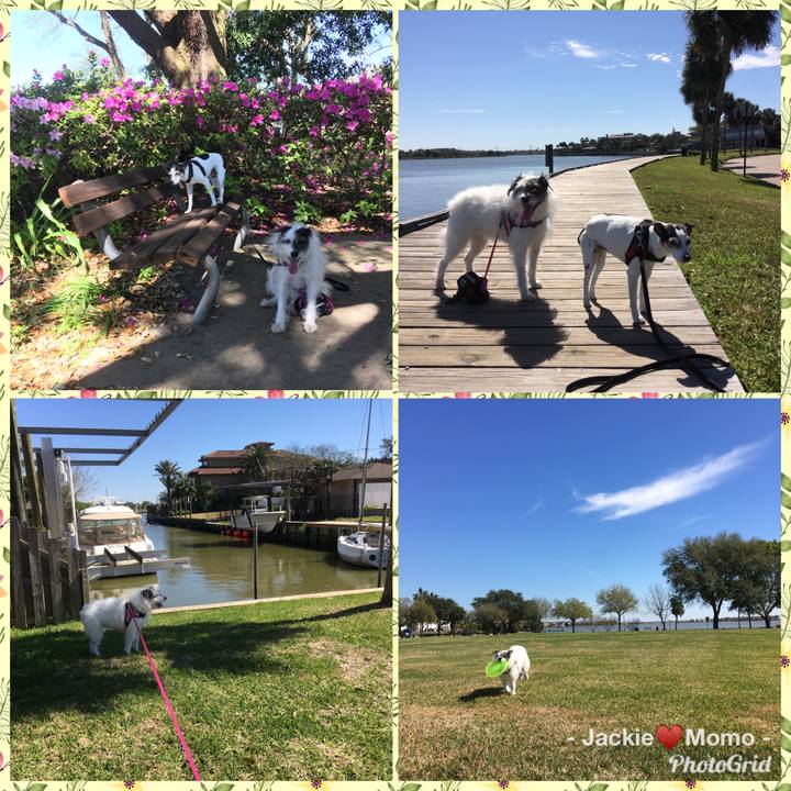 621dcafb 4850 4e76 bb23 36c5f7c49544 1582928988803