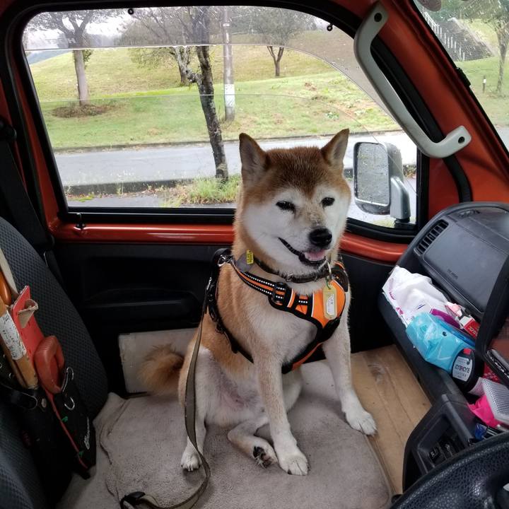 621de80b 215a 4425 bc58 ac652a713a1c 1663908691450