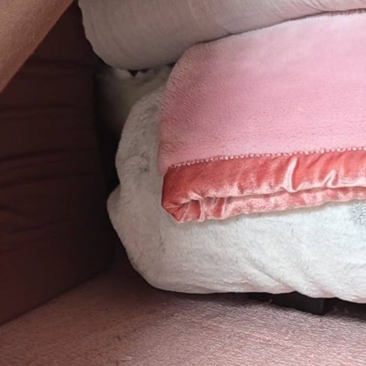 621df9d4 12c3 4276 8321 3eab420942ad 1771061951381