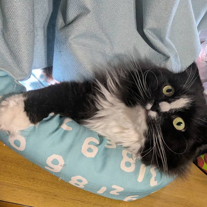 621dff6c 5207 4500 abd7 5b35b01a5690 1746937958076