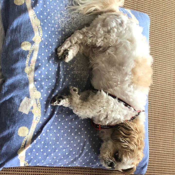 621e2c6d 498d 4e60 b196 02bfe4374571 1590616370799