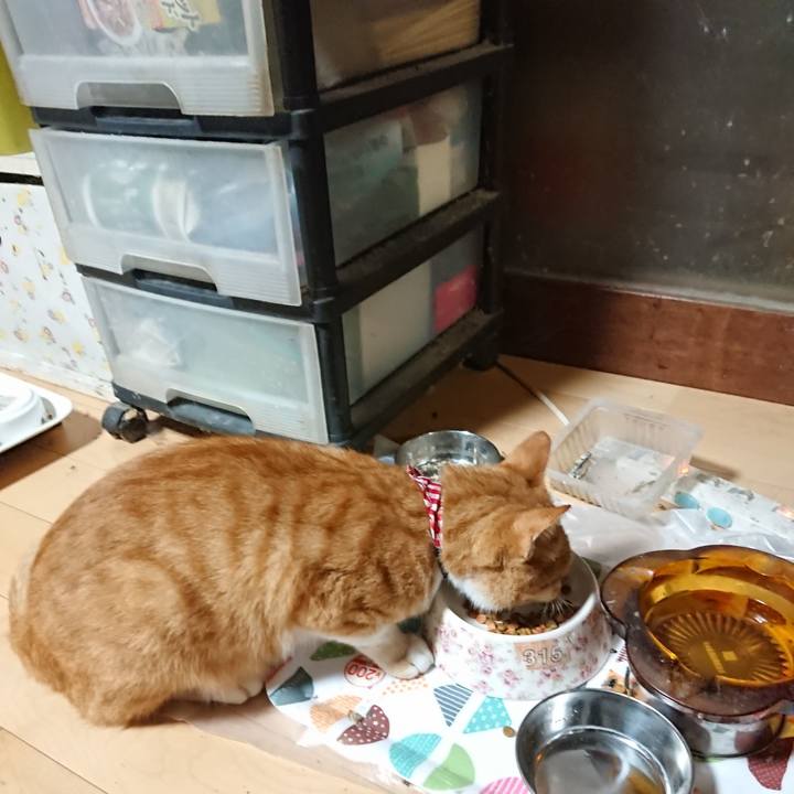 621e4a35 9767 4ef2 9d03 9310f6b6547c 1597867300883