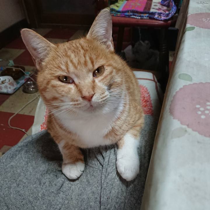 621e804f f183 4b82 bc0f 2d361bc7caea 1577765009156