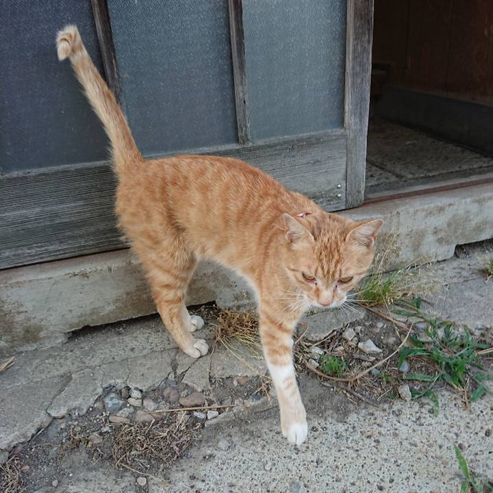 621e9fcd bbd9 442b 8172 5b9f850f2416 1559812658943