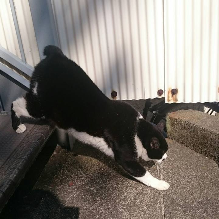 621eb35b a0c6 4019 a1cf bd0e06926259 1518141381722