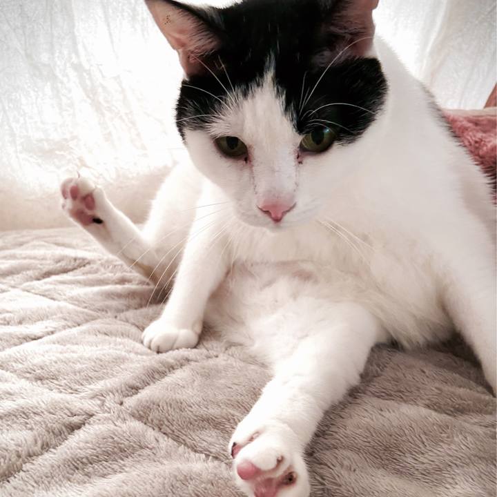 621ebab1 9c01 4c16 8822 a5528ae44ff6 1601808732037