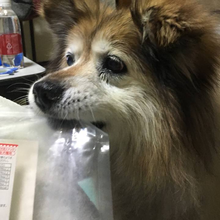 621ebbfb 8e35 4b21 b8f7 f20aa8dba9a6 1608252367028