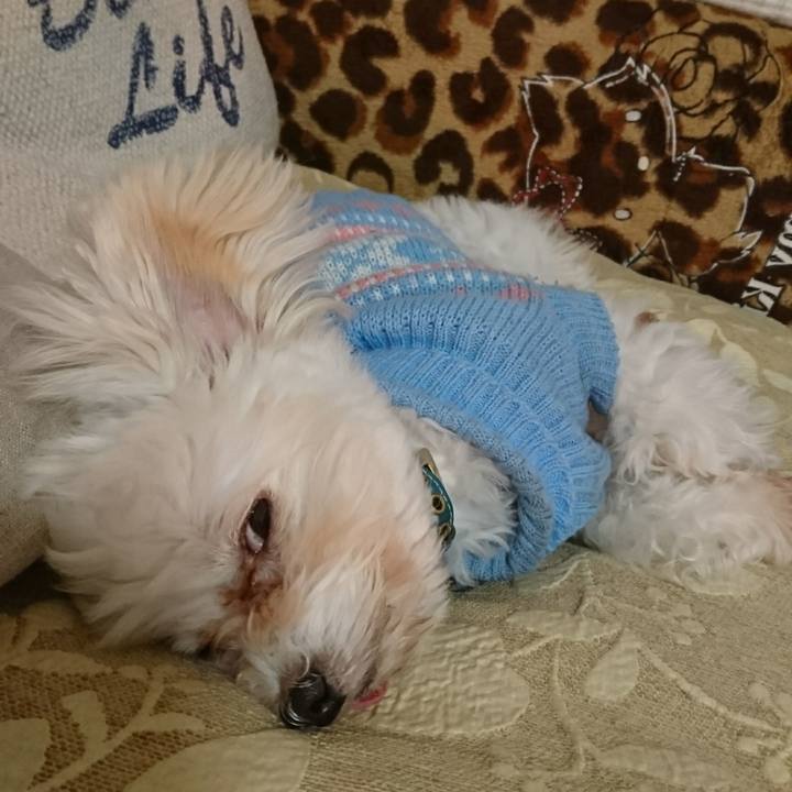 621ebcff 4400 4d28 a819 65fa17a33a6e 1516448021001