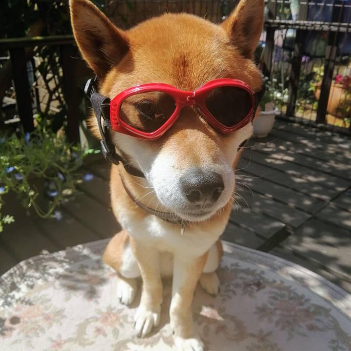 621ebd62 8713 4b45 8dce cf9529fd9661 1584582835220