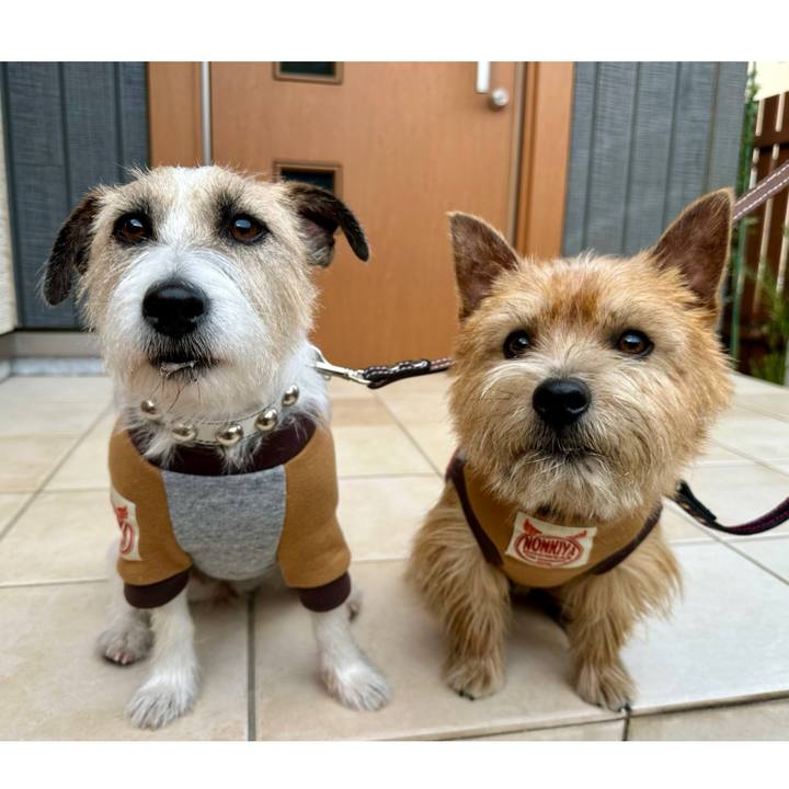 621ec8f6 a753 4039 bd60 513fbf47cf39 1735398748295