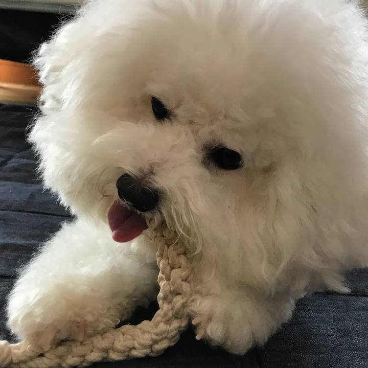 621ed98b 9c0f 4ebb a637 7bf837783f44 1536797512543