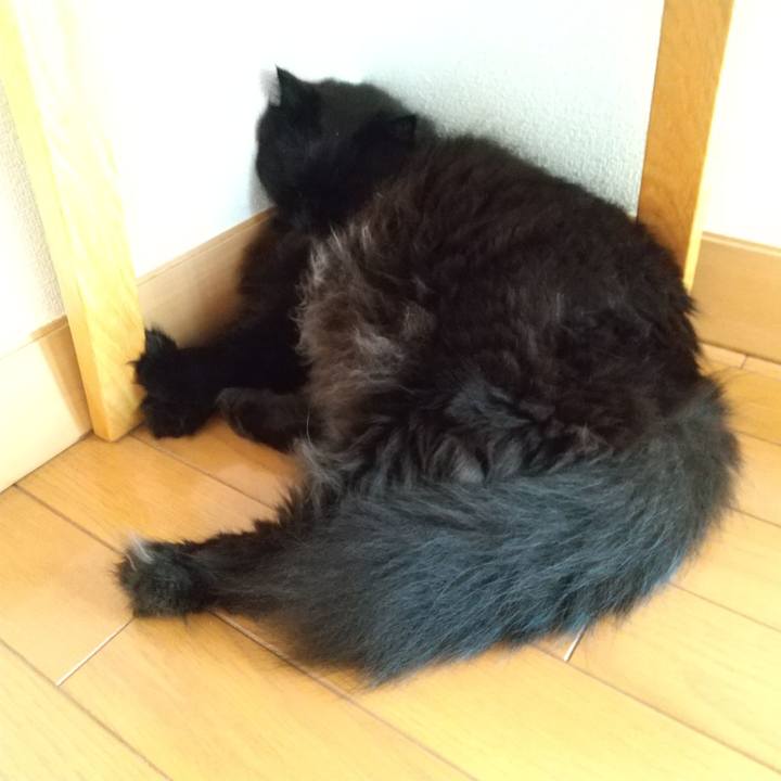 621ef7de 1f01 42e0 8527 17caef47a4c2 1627607603930