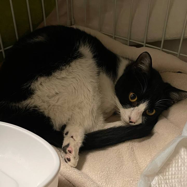 621f25c3 08ba 4aa8 bc27 b93206cbed59 1677396808421