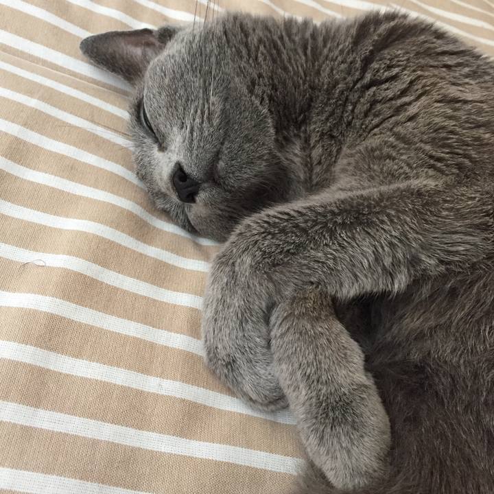 621f3441 6501 4303 ad63 af276956bfca 1564960733931