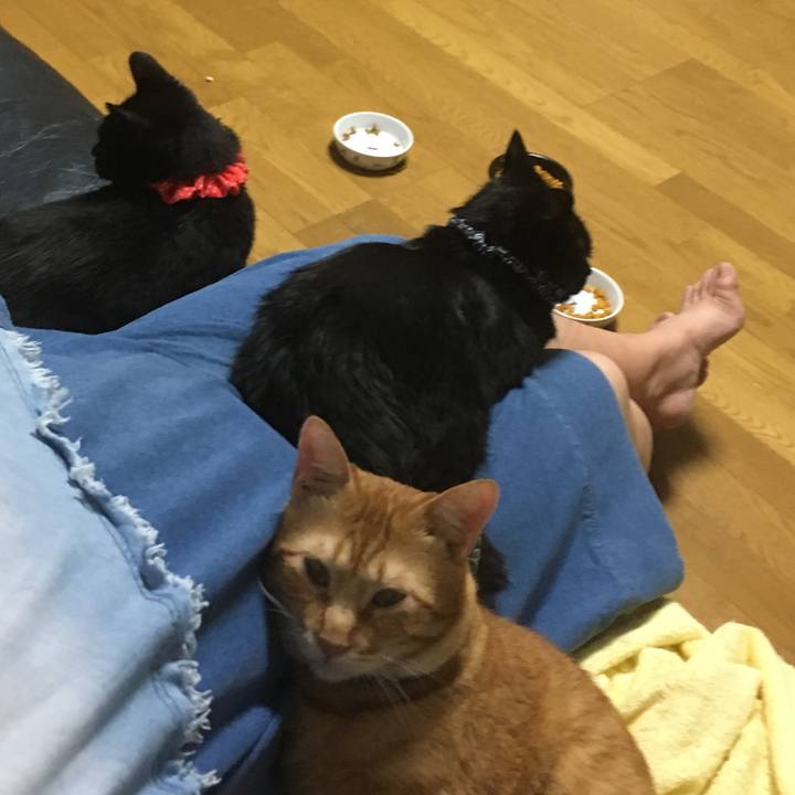 621f4547 6ecd 41c2 a096 178645ed3513 1537360438173